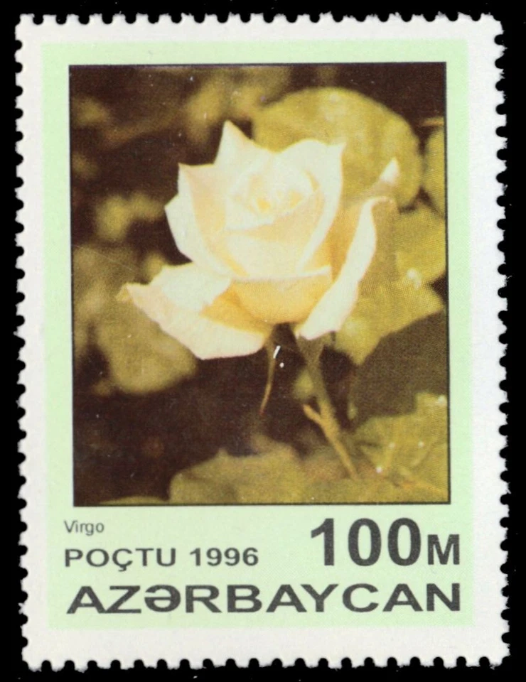 AZERBAIJAN 599 - Garden Roses "Virgo Rose" (pb76255) - Image 1 of 1