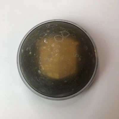 Tapa de bocina Nash 1951 1952 vintage y botón central del volante genuino OEM Foto 1 de 4