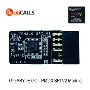 Gigabyte GC-TPM2.0 SPI V2 SPI 2.0 (12Pin) TPM (Trusted Platform Module) - Picture 1 of 6