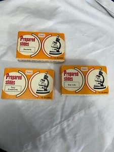 PREPARED SLIDES (USED BACTERIA-(12)-SEA LIFE (10)-TINY CREATURES (7) 29 TOTAL - Picture 1 of 4