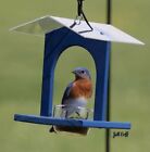 Bluebird Joint, Bird Feeder for Bird Seed or Meal Worms w/ Removable Glass Dish