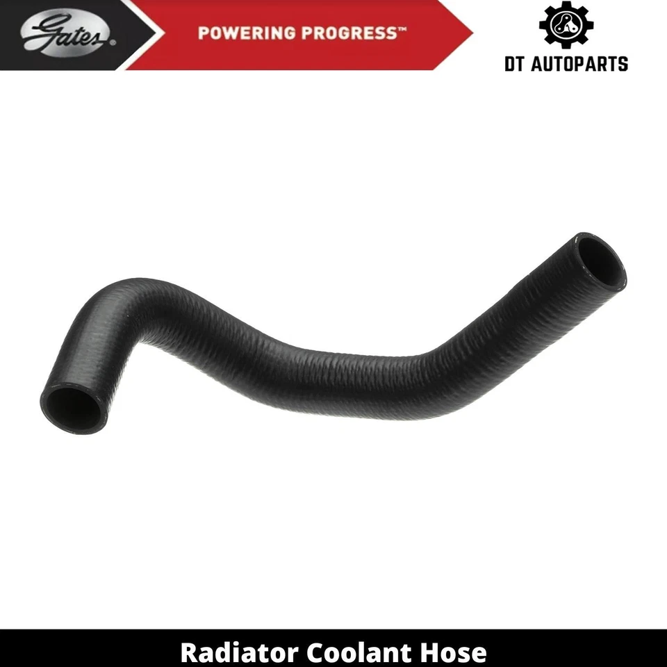 Manguera de refrigerante de radiador de gas V6 de 3,5 L para Dodge Challenger 2009-2010 puertas inferiores Foto 1 de 4