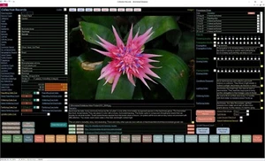 New 2020 Version Bromeliad Collector Database Professional Software CDROM - Picture 1 of 12