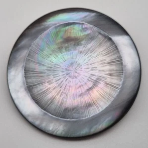 Grauer Perlmutt Ösen-Knopf 23-45 mm Ziseliert / Mother-of-Pearl Button E27 - Bild 1 von 16