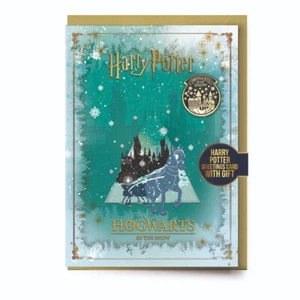 Harry Potter Hogwarts In The Snow Christmas Card with Hogwarts Pin Badge - Picture 1 of 2