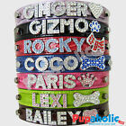 Croc Dog Cat Pet  Personalized Collar - XS,  S, M, L, XL