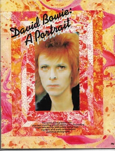 DAVID BOWIE A PORTRAIT 1973 WITH LYRICS SOFTBACK MAGAZINE/BOOK - Picture 1 of 13