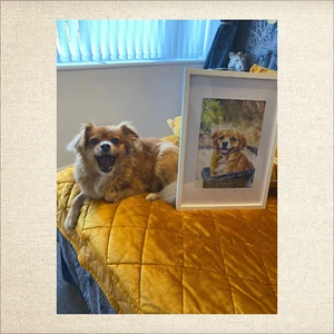 ENMARCADO Personalizado Mascota Perro, Retrato Gato, Personalizado Pastel Estilo Estampado A3 - Imagen 1 de 6
