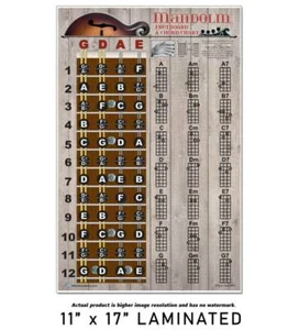 LAMINATED Mandolin Easy Chord & Fretboard Chart Poster Notes Beginner Chords - Picture 1 of 4