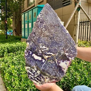 Schwarz Weiß Zebra Jaspis Scheibe poliert Heilstein - 10 Pfund - Bild 1 von 12