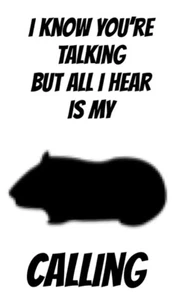 Rabbit Guinea Pig Small Pet Sticker Decal Funny Cute Gift Lover Many Colours Ava - Picture 1 of 12