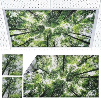 2 Piezas Cubiertas de Luz Fluorescente - Cubiertas de Luz para Luces de Techo Aula, Magne Foto 1 de 4