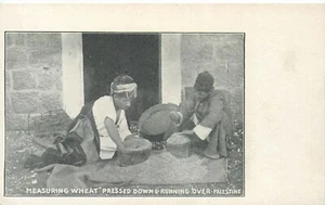 PALESTINE - JERUSALEM - MEASURING WHEAT - OLD UNDIVIDED BACK POSTCARD VIEW - Picture 1 of 2