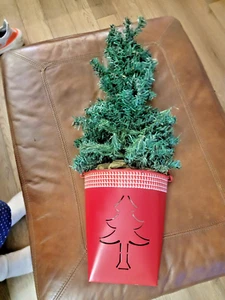 Retro Christmas Tree Tin Hanging Bucket Falt Back 27" Darling! - Picture 1 of 7