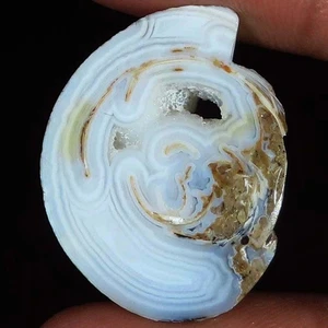 37.00 Cts 100% Natural Fossil Snail Druzy Fancy Shape 22x29x7 mm Gemstone Ce-752 - Picture 1 of 6