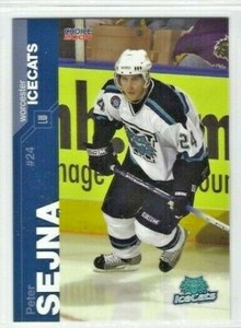 2004-05 Worcester IceCats (AHL) Peter Sejna