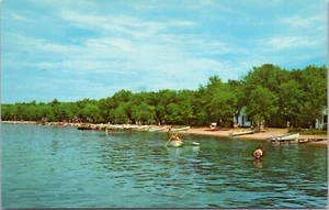 Postcard Shoreline Northern Minnesota Lake Chrome - Picture 1 of 2