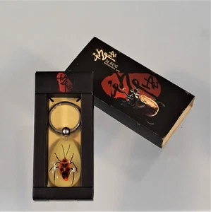 Llavero insecto insecto Nanning Millennium Arts M insecto real ver a través de llavero - Imagen 1 de 7