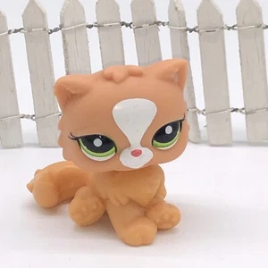Littlest Pet Shop 2444 LPS Authentic Blind Bag Persian Cat Orange White - Picture 1 of 6