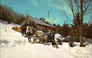 Postcard sugaring in Vermont pulling the gathered sap back to sugarhouse - Picture 1 of 2