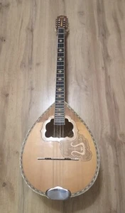 Greek Bouzouki SPECIAL OFFER-Hardcase & Pickup & 300 Backing Track & Pdf Scores - Picture 1 of 24