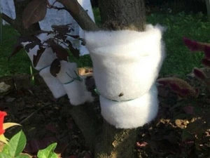 Ovatta Cattura Insetti per protezione Alberi Pianta da Frutta rotolo 13,5cmx20m. - Foto 1 di 2