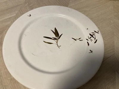 Teller Schale Olivenzweig Asa Trattoria Germany - Bild 1 von 3