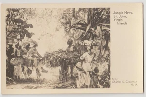 JUNGLE NEWS  St. John US Virgin Islands Chapman Art View Card Blank Back - Picture 1 of 2