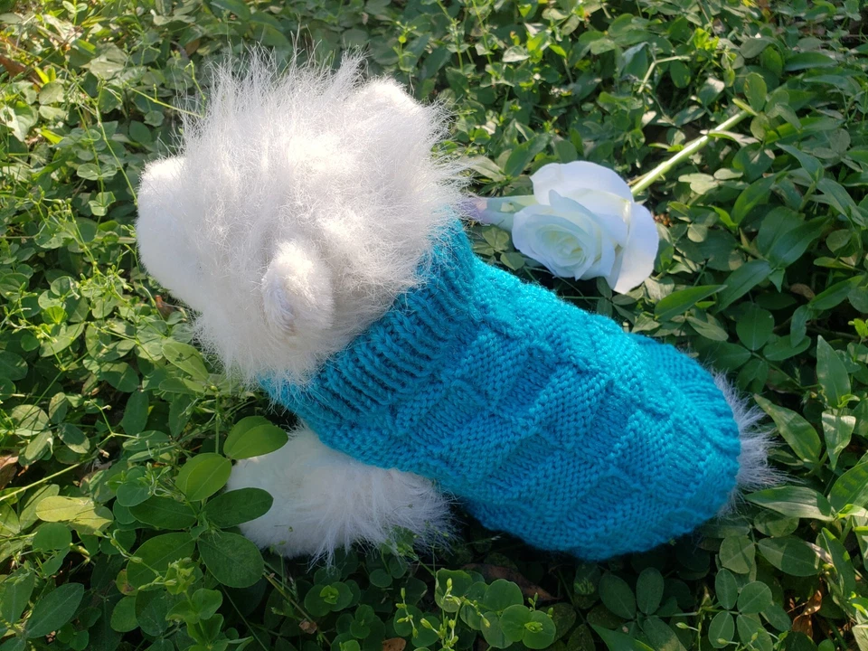 Suéter 100% Lana Hecho a Mano Tejido Azul Perro XS Foto 1 de 1