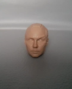 HOT NEBULA HEAD SCULPT GUARDIANS OF THE GALAXY 1/6 SCALE MODEL RARE TOYS - Picture 1 of 2