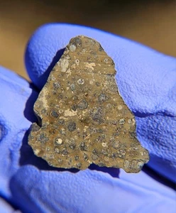 Meteorite**NWA 17071, CV3**1.070 grams, W/Rare CAI's (Pre-Solar Grains) !!! - Picture 1 of 15