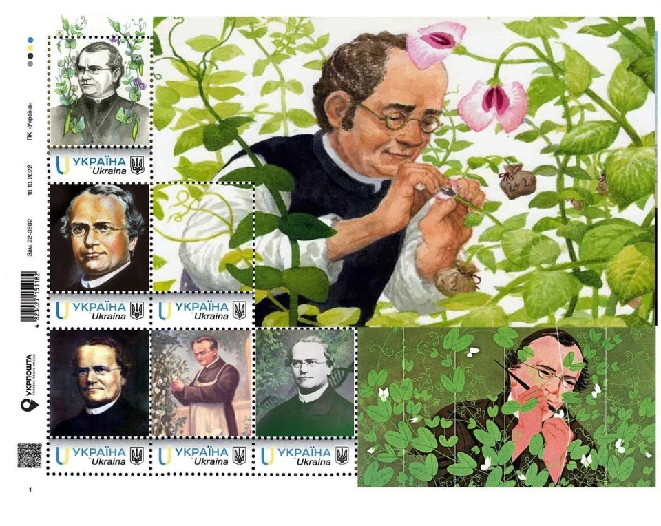 Ucrania 2022, Ciencia, Naturalistas, Biólogo-Genetista Gregor Mendel, hoja 6v Foto 1 de 1