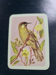 Australiana bird studies card - # 263 - free postage - lot 32 - Imagen 1 de 2