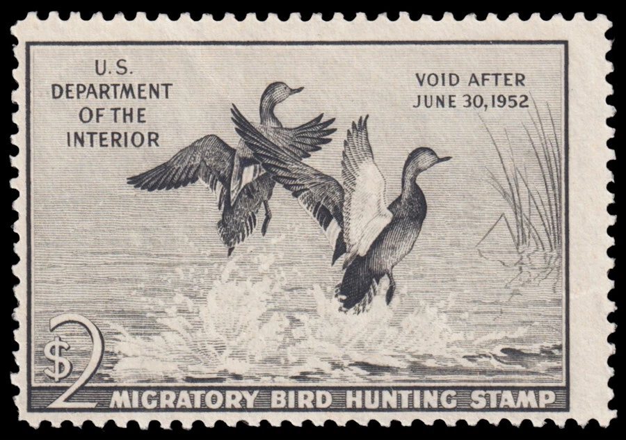 United States Hunting Permit Stamp Scott RW18 (1951) Mint H F C - Image 1 of 1
