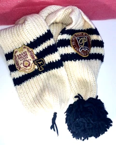 Pink Victoria Secret Scarf Phi Beta Pink A Listers Grand Escape Lodge VIP Party - Picture 1 of 10