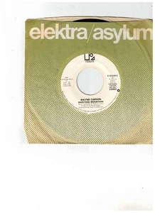 Wayne Carson COUNTRY 45 (Elektra E45348) Barstool Mountain Stereo/Mono NM- PROMO - Picture 1 of 2