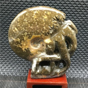 498g Handschnitzerei seltene natürliche Muschel Ammonit Fossil Exemplare MadagaskarsU876 - Bild 1 von 10