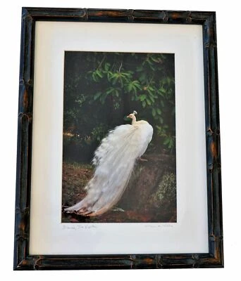 BLANCO, THE VISITOR Signed Framed Hawaiian Photographer Lilian De Mello  14x18 - Image 1 of 2