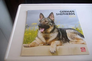 ~DEUTSCHER SCHÄFERHUND ~HUNDEKALENDER 2013~BRAUNFORELLE~ - Bild 1 von 11