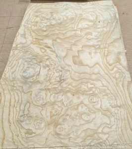 Ash White Burl wood veneer 14" x 19" raw no backing 1/42" thickness A grade - Picture 1 of 3