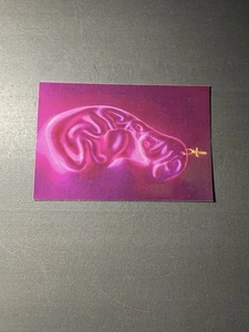 Supreme Crucifix Earring Purple Piercing Sticker NEW - Picture 1 of 2