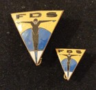Rare 2 Pin