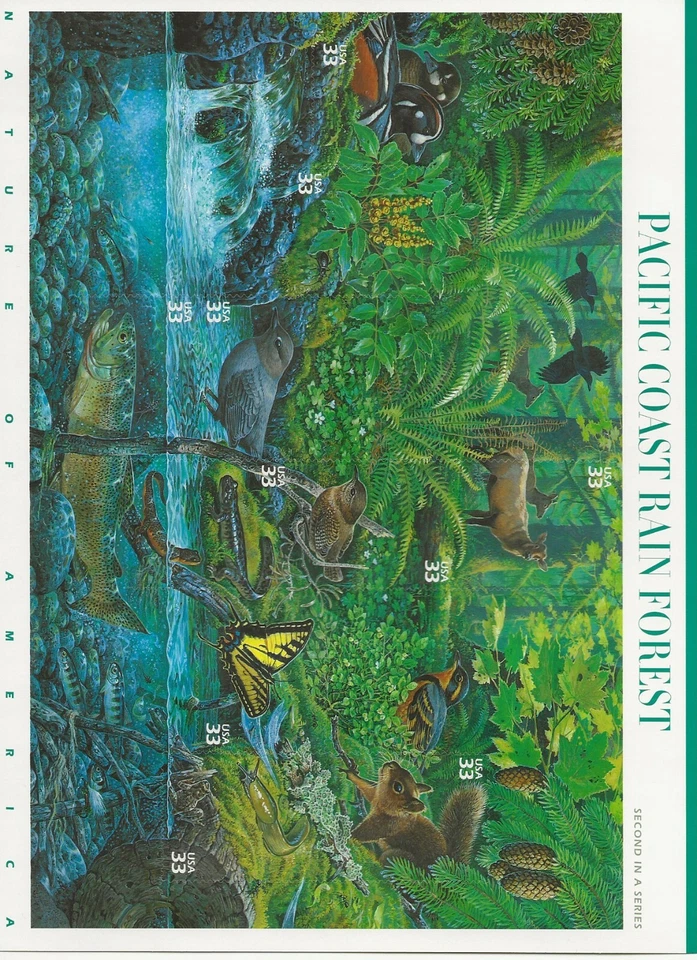 2000 33 cent Pacific Rain Forest full Sheet of 10, Scott #3378, Mint NH - Image 1 of 1