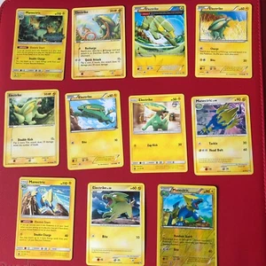 13 X Pokemon Cards Bundle Electrike And Manectric Including Holo Ex - Picture 1 of 15