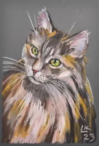Original Pastel Cat Portrait 12x8 – Longhair Pet Drawing Signed Animal Art - Picture 1 of 6