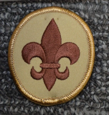 Boy SCOUT Rank Award Uniform Shirt Oval Front Pocket Official Patch BSA Tan - Image 1 of 3