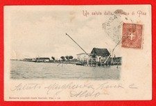 MARINA DI PISA-UN SALUTO DA-VG 1901