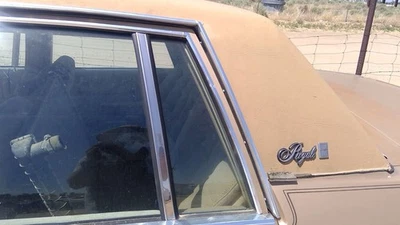 Olds 88 1980-1985 conductor ventana de ventilación trasera izquierda puerta trasera vidrio con marco OEM Lh Foto 1 de 4