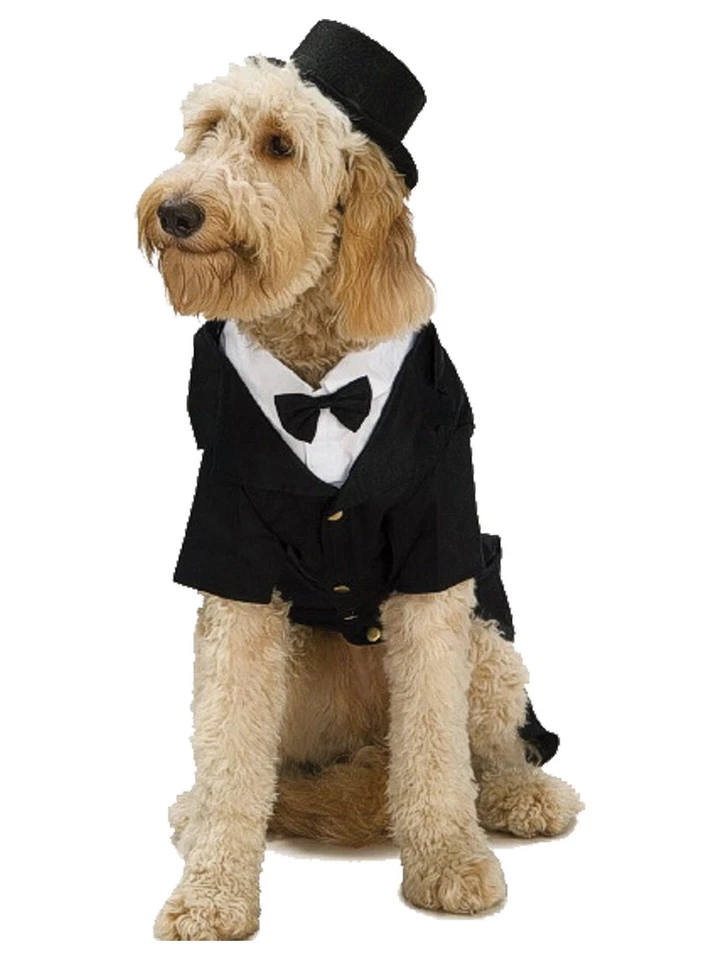 Rubie's Costume Company Top Hat for Your Pet S-m