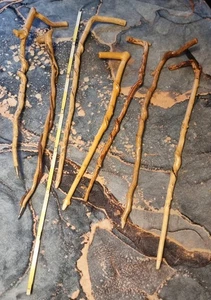 7x Wanderstock Holz geschnitzt -Schäferstock Hirtenstock Pilgerstab - Neu - Bild 1 von 2